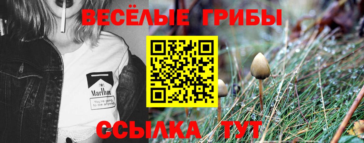 Галлюциногенные грибы ЛСД  Вход с VPN  Елизово 